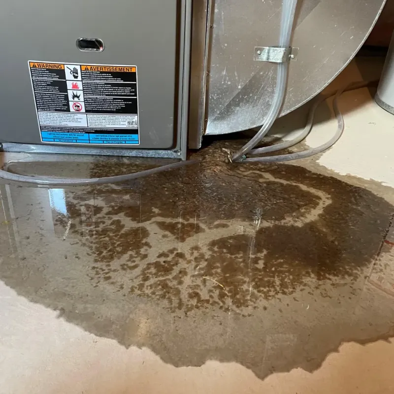 Appliance Leak Cleanup in Oak Harbor, OH